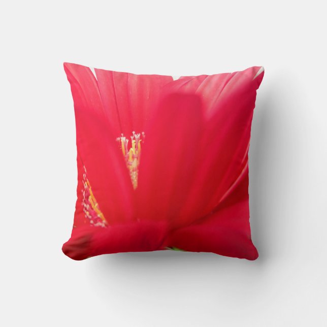 margarita roja: almohada roja casi sólida (Anverso)