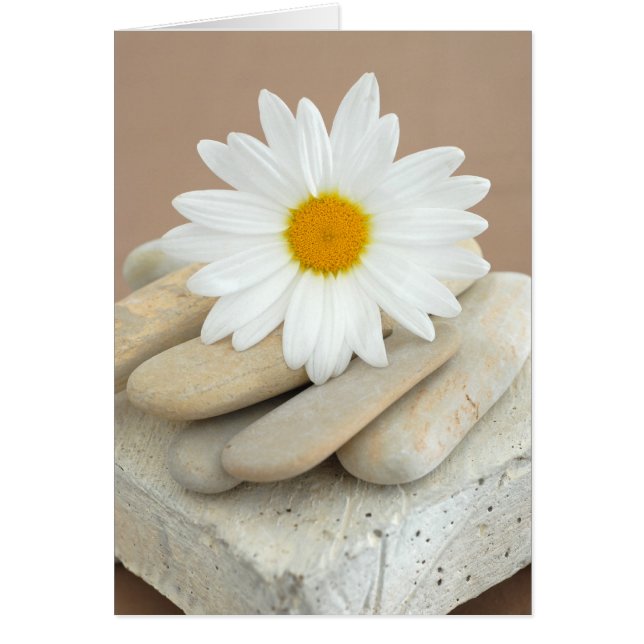 Margarita y piedras (Frente)