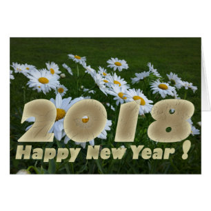 margaritas blancas de 2018