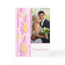 Margaritas Gerbera rosadas en tarjeta blanca de ag