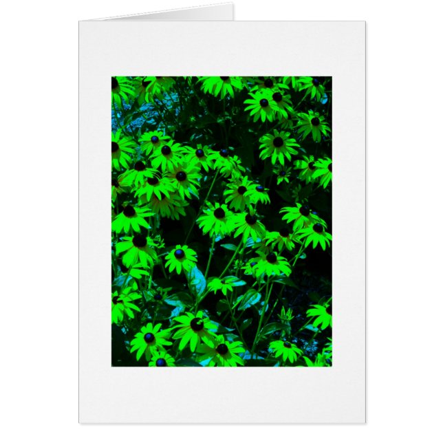 Margaritas verdes (Frente)