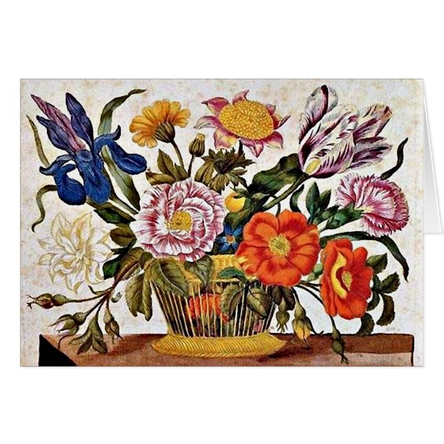 Maria Sibylla Merian - De der Raupen Wunderbare (Anverso (Horizontal))