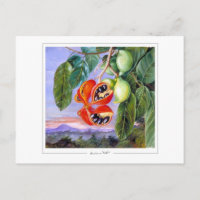 Marianne North #9 - Tarjeta postal de arte fino
