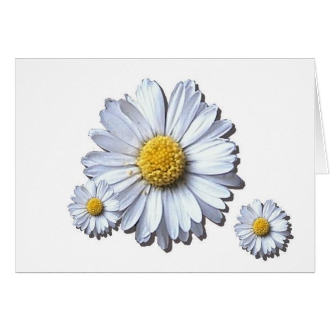 maricas (Anverso (Horizontal))