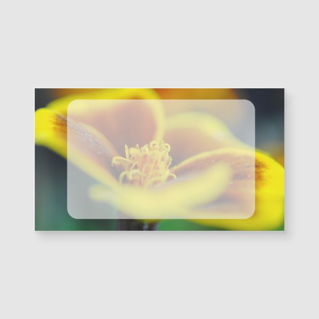 Marigold Close (Anverso)