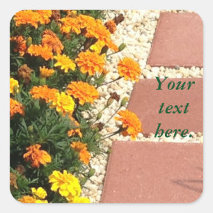 Marigold, Naranja Amarilla, Flora a sus Pegatinas