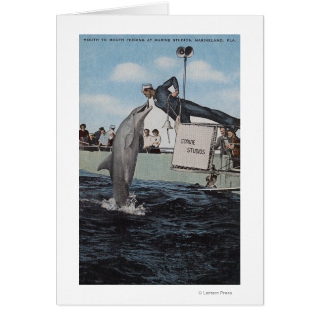 Marineland, Florida - Sailor Mouthfed (Frente)