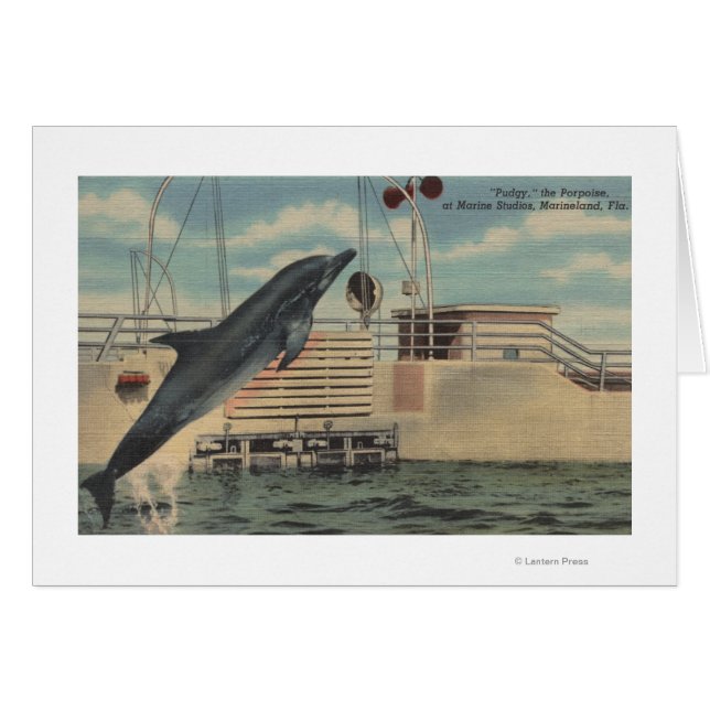 Marineland, Florida - Vista de Pudgy el (Anverso (Horizontal))