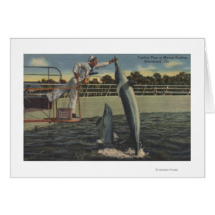 Marineland, la Florida - opinión masopas de