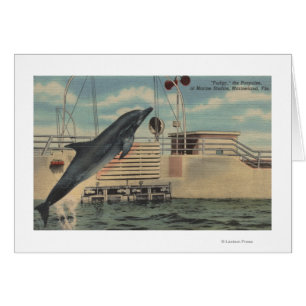 Marineland, la Florida - vista del rechoncho