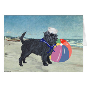 Marinero Affenpinscher