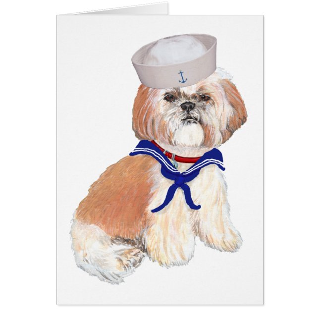 Marinero Shih Tzu (Frente)