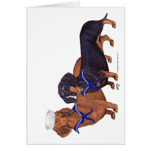 Marineros Dachshund