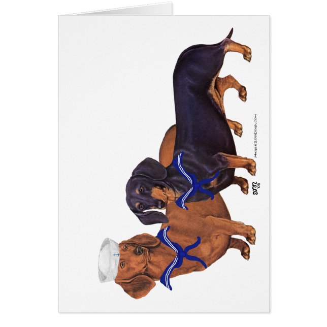 Marineros Dachshund (Frente)