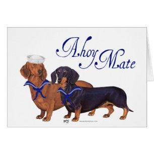 Marineros Dachshund