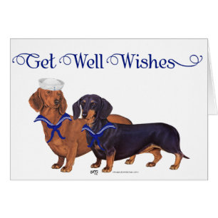 Marineros Dachshund