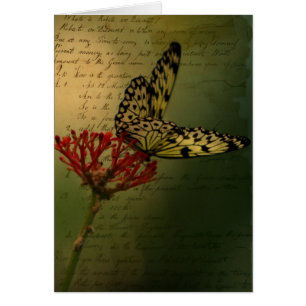 Mariposa