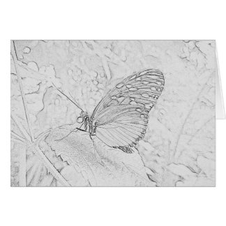 Mariposa