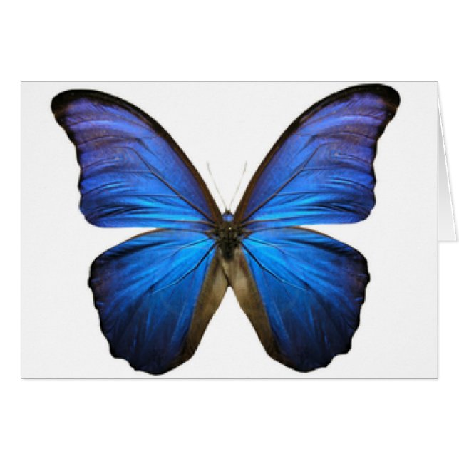 MARIPOSA (Anverso (Horizontal))