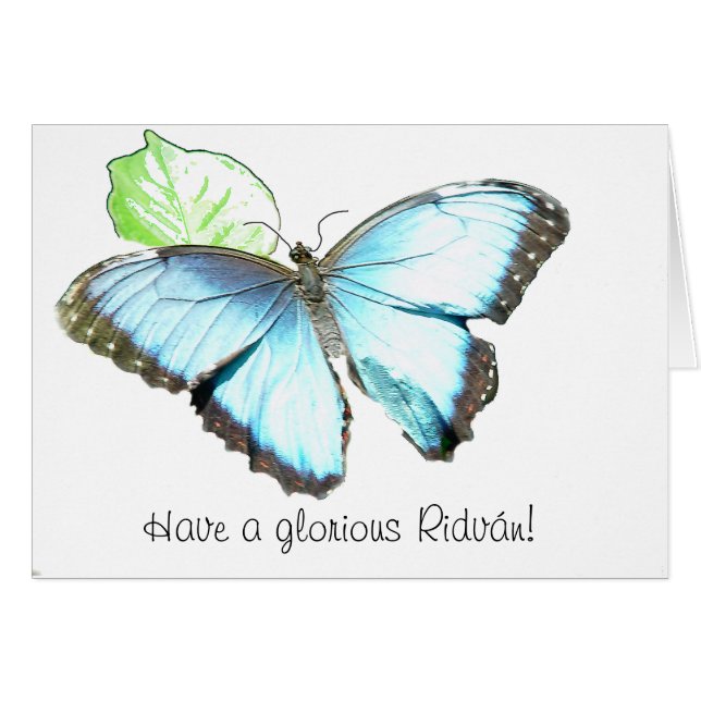 Mariposa (Anverso (Horizontal))