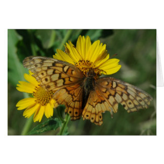 MARIPOSA