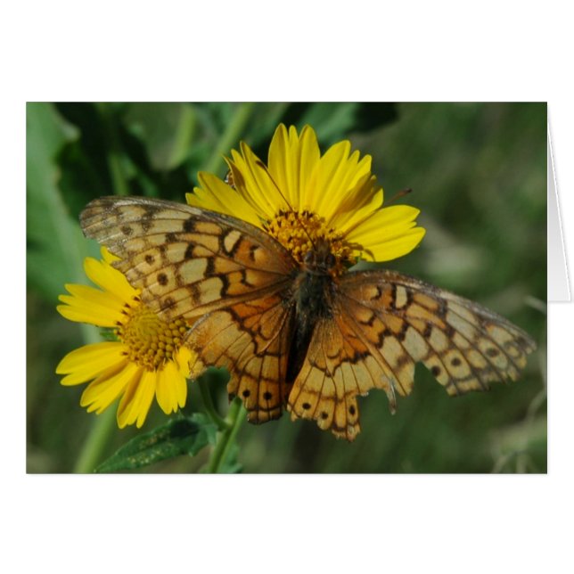 MARIPOSA (Anverso (Horizontal))