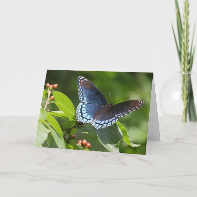 Mariposa 7 x 5 Tarjeta de felicitación plegada - e (Anverso)