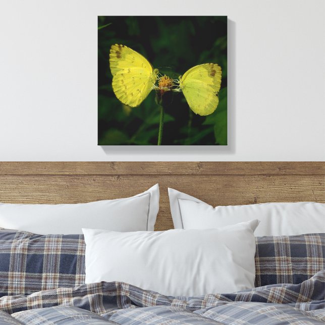 Mariposa Alas De Cambio Lienzo Estirado Premium (Insitu(Dormitorio))