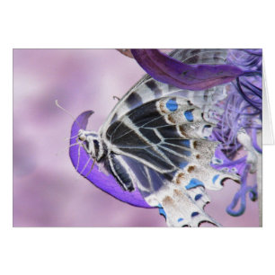 Mariposa alterada