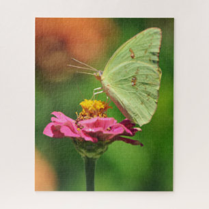 Mariposa Amarilla en Flor Rosa Rompecabezas Grande