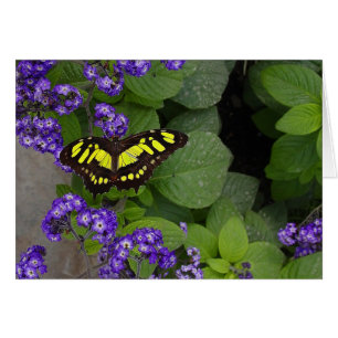Mariposa amarilla en la impresión de flores violet