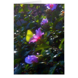 Mariposa amarilla en rosa Rosa de Sharon