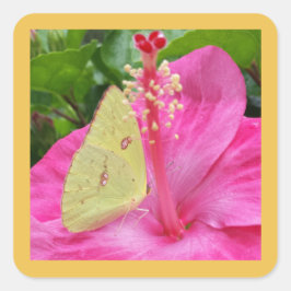 Mariposa amarilla y flor rosa, pegatina cuadrado