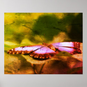 Mariposa Azul Arte Naturaleza Distorsionada