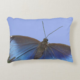 Mariposa azul Cust de Morpho. Almohada del acento