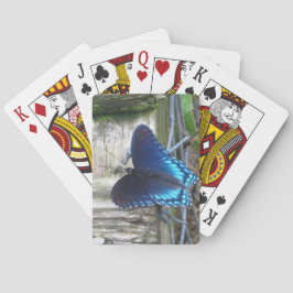 Mariposa Azul Descansando sobre Cartas de Juego