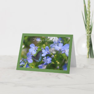 Mariposa azul en tarjeta de felicitación de Blue G