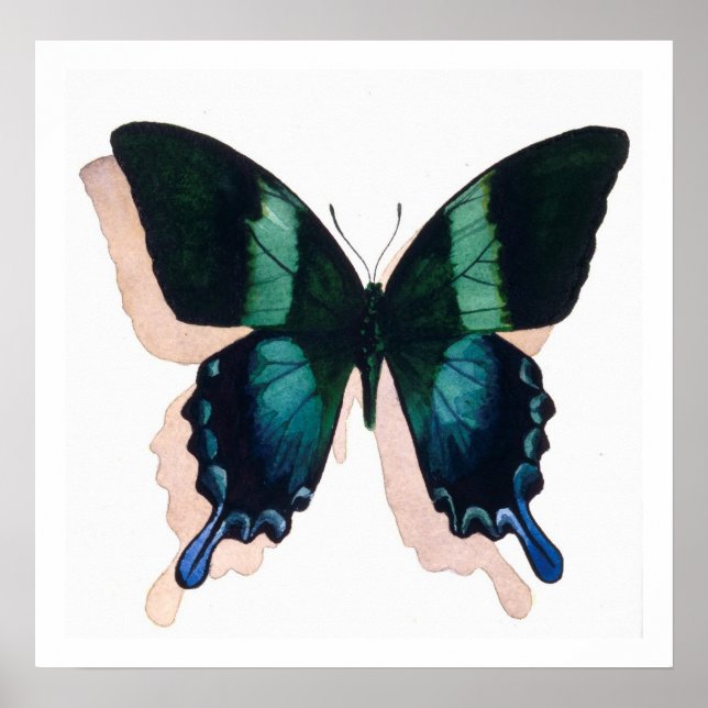 "Mariposa azul" Insectos acuarela Arte (Frente)