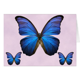Mariposa azul magnífica de Morpho