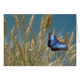 Mariposa azul monarca sobre grano