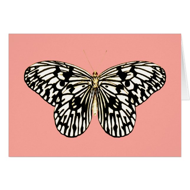 Mariposa blanco y negro, fondo rosado coralino (Anverso (Horizontal))