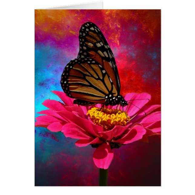 mariposa bohemia verde azulada de la turquesa (Frente)