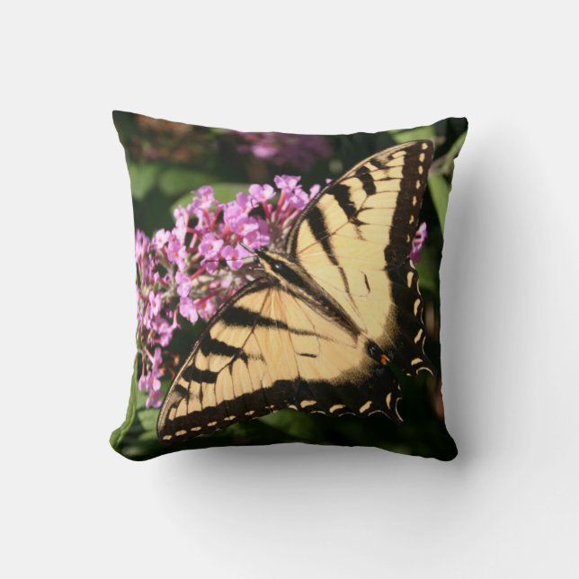 Mariposa cola de golondrina negra Almohada (Anverso)