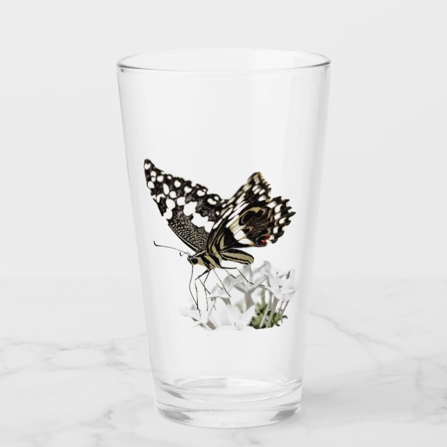 Mariposa cola de golondrina posada en blanco (Anverso)