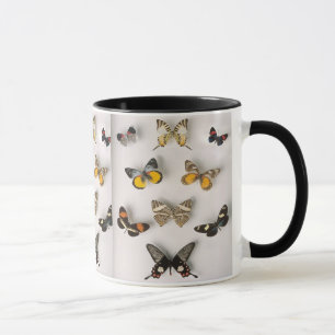 mariposa-colección, taza del campanero