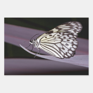 Mariposa cometa de papel sobre púrpura