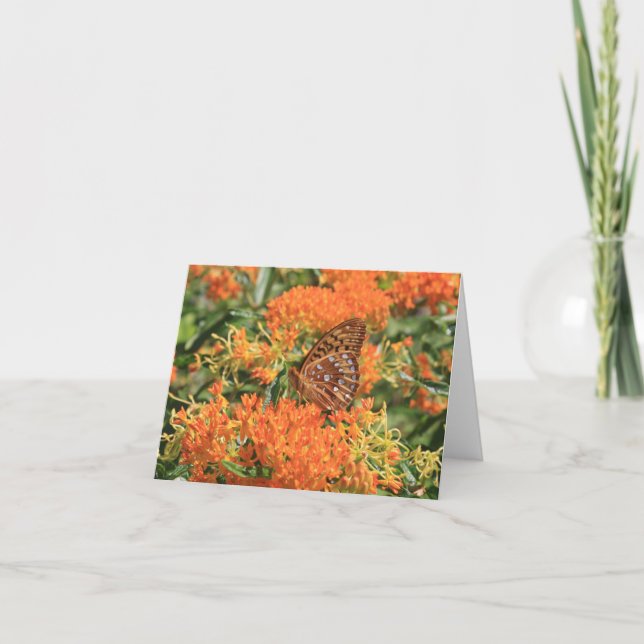Mariposa complementada con tarjeta de Naranja natu (Anverso)