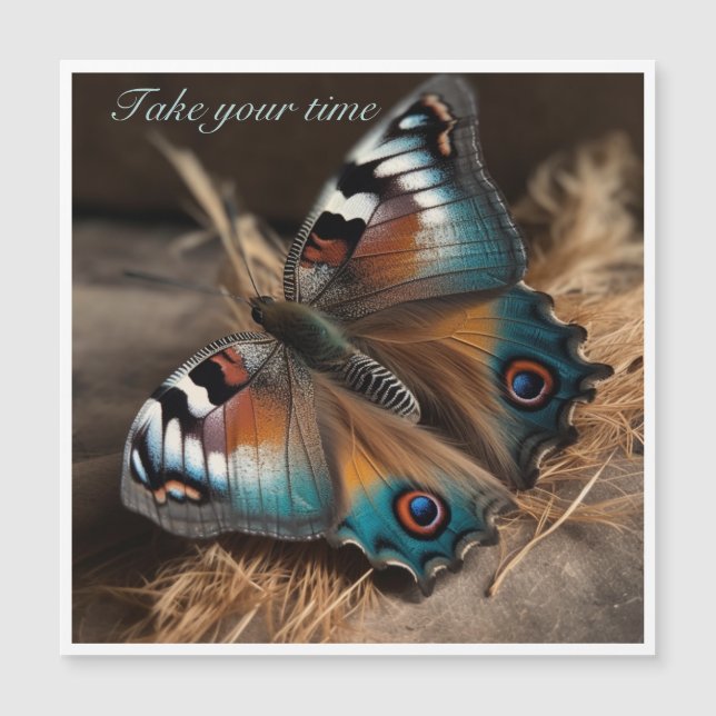 Mariposa con cuerpo de diseño de cebra (Anverso)