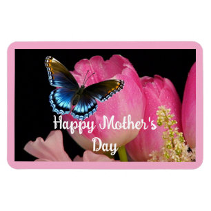 Mariposa Con Imán Fotográfico De Flores