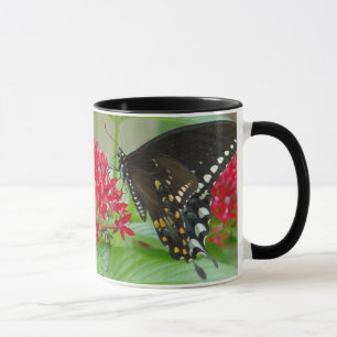 Mariposa con la taza roja de las flores